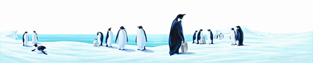 cover illustration of penguins